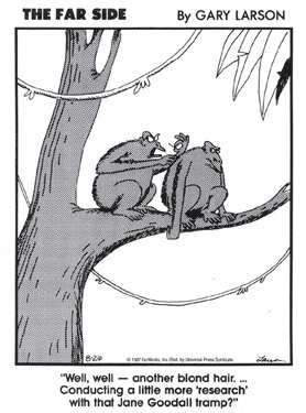 The Far Side